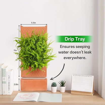 dadop Terracotta Self Watering Wall Pots for Indoor Plants, Hanging Planters for Indoor Plants Holder, Terra Cotta Pot Home Decor