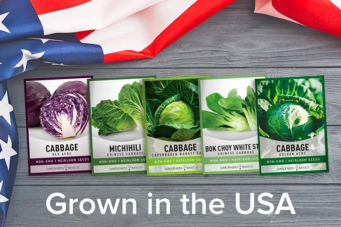 Gardeners Basics, Cabbage Seeds for Planting 5 Individual Packets Bok Choy, Michihili (Napa) Chinese Cabbage, Red, Golden Acre and Copenhagen Market Early for Your Non GMO Heirloom Vegetable Garden