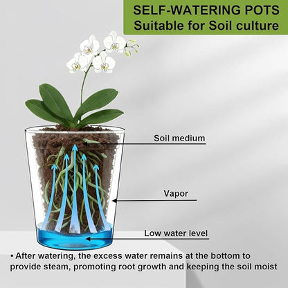 3 Pack of 6in Plastic Cachepot with 6 inch Clear nusery Pot - self Watering Indoor Planter with Drainage for Root Visibility,semi Hydro pots for repotting Orchids,Aroid or Monstera,Black