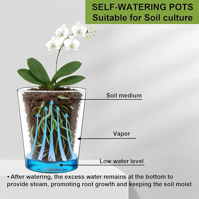 6 Pack of 6in Plastic Cachepot with 6 inch Clear nusery Pot - self Watering Indoor Planter with Drainage for Root Visibility,semi Hydro pots for repotting Monstera,Orchids,Aroid,Black