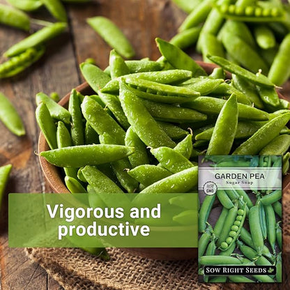 Sow Right Seeds - Sugar Snap Pea Seeds for Planting - Non-GMO Heirloom Packet with Instructions to Plant a Home Vegetable Garden - Grow Tons of Delicious Pods - Cool Season Crop, Super Productive (2)