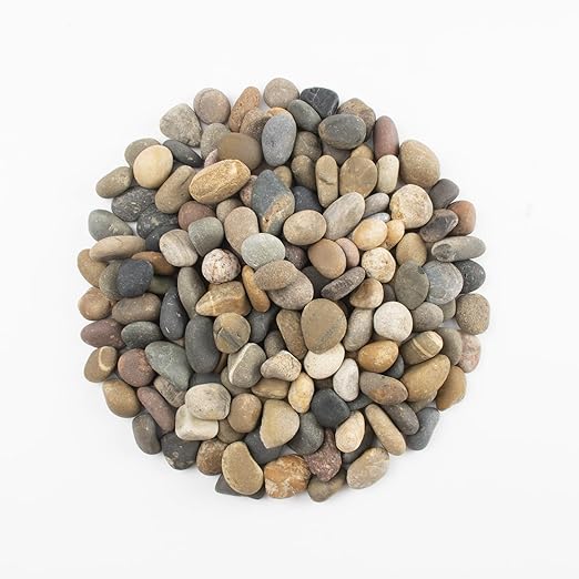 10 LBS Natural Pebbles - 1/2-1 inch Natural River Stones, Screened Decorative River Rocks for Landscaping, Garden Pathway, Plant Stones, Craft Walkways, and Outdoor Decorative (1/2-1 Inch