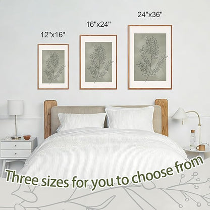 CHDITB Sage Green Botanical Framed Canvas Wall Art Set, Nature Line Art Wall Decor, Neutral Minimalist Floral Artwork, Boho Greenery Plant Flower Art Prints for Living Room, Bedroom, Office 24"x36"x3