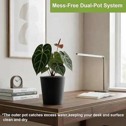 6 Pack of 6in Plastic Cachepot with 6 inch Clear nusery Pot - self Watering Indoor Planter with Drainage for Root Visibility,semi Hydro pots for repotting Monstera,Orchids,Aroid,Black