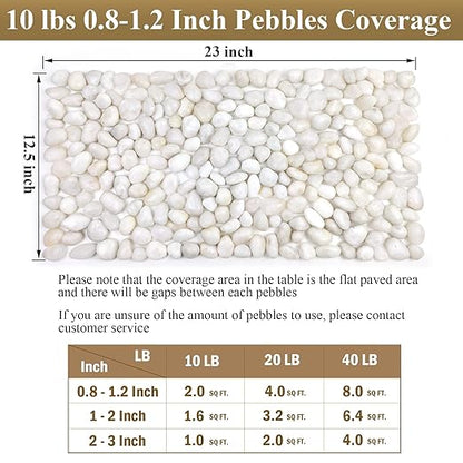 FANTIAN 10 lbs White Pebbles for Indoor Plants, 0.8-1.2 Inch Small White River Rocks Stones for Planters, Vases, Fish Tank, Garden, Landscaping, Top Dressing and Bottem Drainage