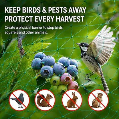 Garden Netting, 13 x 50 FT Bird Netting for Garden Plant Protection, Reusable Fine Mesh for Fruit Trees, Vegetable Plants, Blueberry Bushes, Raised Beds, Chicken Coop (13x50ft)