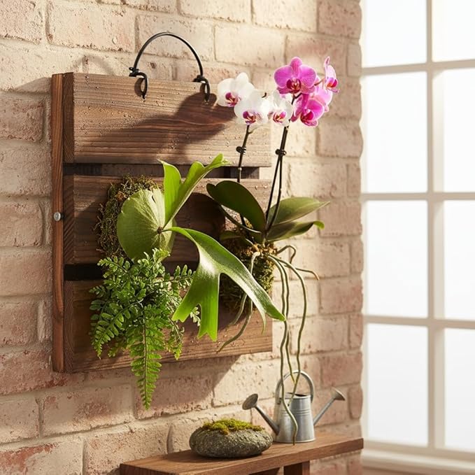 Staghorn Fern Mounting Board Kit Wooden Wall Planter Hanging Plant Holder for Vertical Plant,Platycerium,Orchids,Succulents(Square)