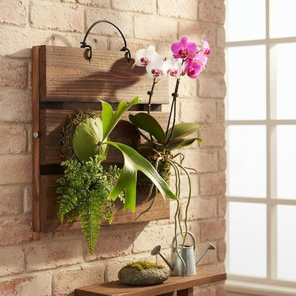 Staghorn Fern Mounting Board Kit Wooden Wall Planter Hanging Plant Holder for Vertical Plant,Platycerium,Orchids,Succulents(Square)