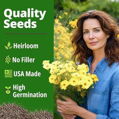 HOME GROWN Dwarf Lemon Cosmos Seeds | 600 Non-GMO Open-Pollinated Seeds (2 Packs, 300 Each) | Compact Yellow Annual Flower Seeds, Blooms in 50–60 Days, USDA Zones 2–11