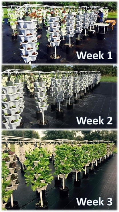 Vertical Gardening Planters - Use Mr Stacky Pots With ANY Grow Medium (Soil, Hydroton, Vermiculte, Perlite, Coco Fiber) - Great for Hydroponics and Aquaponics Too - Build Your Own Stacking Container Garden System - For Growing Strawberries, Vegetables,...