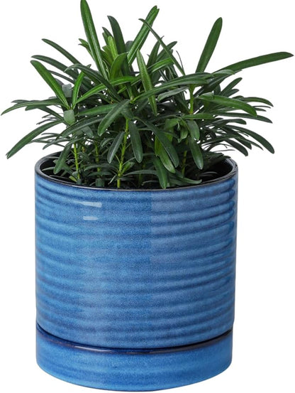 HASENSE Plant Pot, 6 Inch Ceramic Kitchen Garden Pot for Plant with Drainage Hole and Tray, Indoor/Outdoor Succulent Herb Planter, Modern Blue Home Office Decorative Gifts
