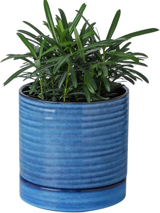 HASENSE Plant Pot, 6 Inch Ceramic Kitchen Garden Pot for Plant with Drainage Hole and Tray, Indoor/Outdoor Succulent Herb Planter, Modern Blue Home Office Decorative Gifts