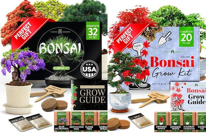 Bonsai Tree Growing Kit 2-Pack – Premium Ceramic Starter Set + 4 Bonsai Trees Variety Kit – Unique DIY Gardening Gift for Men, Women, Beginners & Nature Lovers – Indoor Plant Hobby & Gift Idea