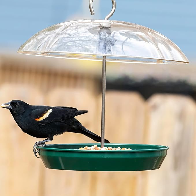 Kingsyard Adjustable Platform Bird Feeder for Outdoors, Hanging Metal Seed Tray with Clear Rain Proof Dome, Large Capacity for Wild Bluebird Cardinal Dove Mealworm, Green