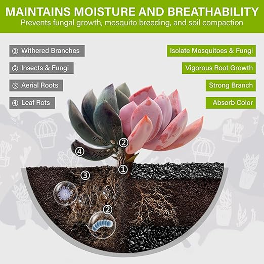 NUPICK 12lb River Rocks for Plants Indoor, 1/5 Inch Black Pebbles for Vases Fillers, Decorative Pea Gravel for Fish Tank, Natural Polished Stones for Succulent, Bonsai, Landscaping, Bird Baths