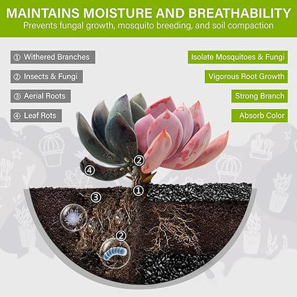 NUPICK 3lb River Rocks for Plants Indoor, 1/5 Inch Black Pebbles for Vases Fillers, Decorative Pea Gravel for Fish Tank, Natural Polished Stones for Succulent, Bonsai, Landscaping, Bird Baths