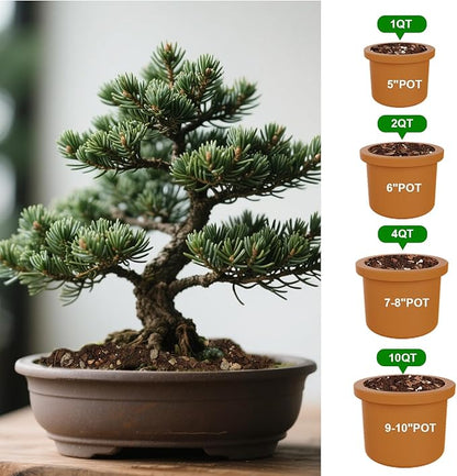 Doter Bonsai Soil Mix Ready to Use (1qt), Premium Fast Draining Organic All Purpose Potting Mix for All Varieties of Bonsai
