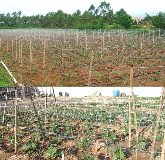 White Trellis Netting 5x100 ft Heavy Duty Garden Trellis Netting Polypropylene Plant Support Garden Net for Climbing Vegetables Fruits Flowers