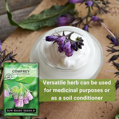 Sow Right Seeds - Comfrey Seeds for Planting - Non-GMO Heirloom - High-Yield Comfrey for Garden, Medicinal Herbs, and Soil Improvement - Outdoor or Indoor Herb Garden - Use for Home Remedies (2)