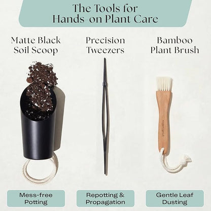 Rosy Soil Plant Parent Essentials Gift Box - Indoor Plant Kit & Gardening Tool Kit | Peat-Free Houseplant Soil, Terracotta Watering Bulb, Soil Scoop, Plant Brush - Gift for Plant Lovers