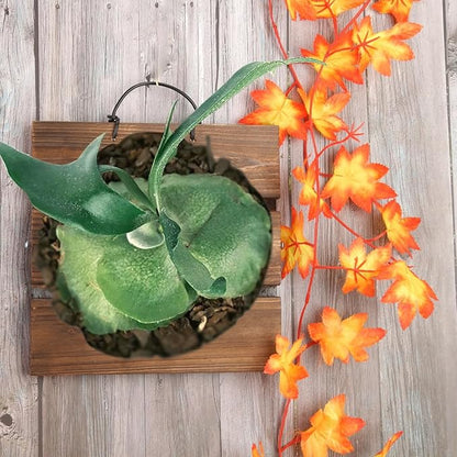 Staghorn Fern Mounting Board Kit Wooden Wall Planter Hanging Plant Holder for Vertical Plant,Platycerium,Orchids,Succulents(Square)