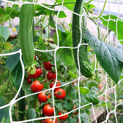 Trellis Netting, CANAGROW Heavy-Duty Garden Plant Trellis Netting for Climbing Plants, Outdoor Indoor Grow Net for Beans Tomatoes Peas Pumpkin Flowers, 6x15ft, Pack of 2