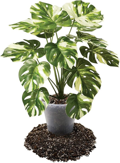 Premium Aroid Potting Mix - Soil Free Blend for Aroids - Growing Medium for House Plants by Gardenera - (1 Quart Bag)