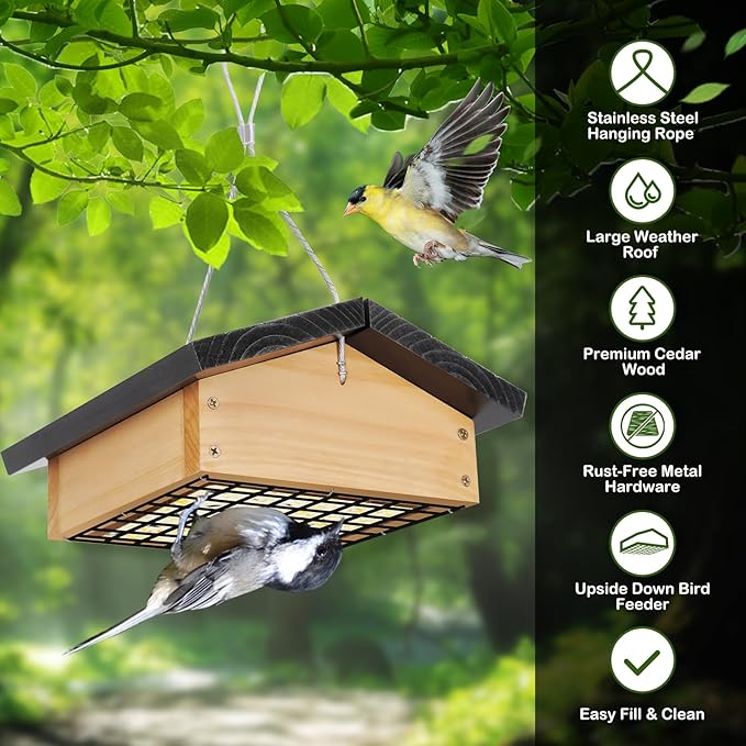 Upside-Down Suet Feeder Squirrel Proof with Durable Cedar Wood,Winter Bird Feeders for Outdoors Hanging, Attracts Woodpeckers, Nuthatches, and Chickadees, Easy to Refill