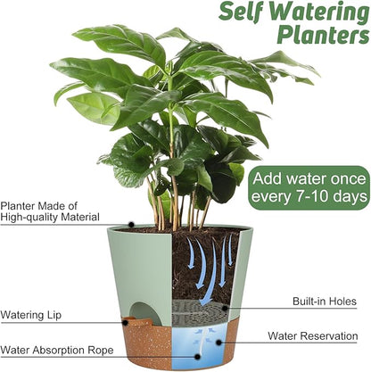 YNNICO 10-Inch Plant Pots, Self-Watering Planters with Drainage Holes & Saucers for Indoor and Outdoor Plants (2-Pack, Green)