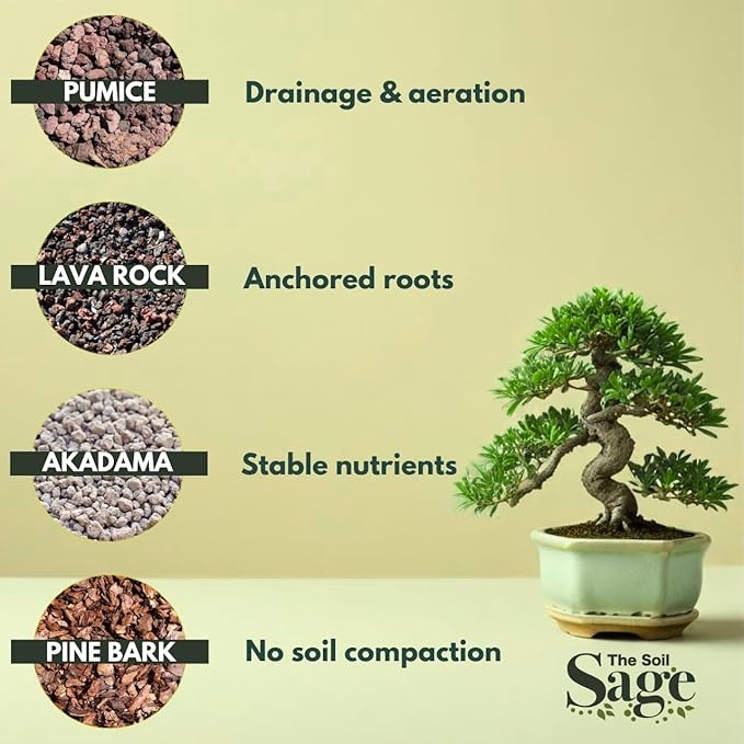 The Soil Sage 5qts/5l Premium Bonsai Mix - U.S.A. Made Ready to Use - Akadama, Pumice, Lava Rock, Fine Pine Bark - Large Bag for All Bonsai Tree - High Drainage Potting, Repotting (Bonsai Soil / 5 QT)