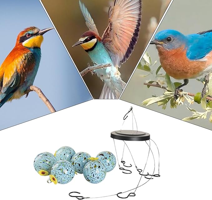 Parrot Water Dispenser,Rainproof Feeding Dispenser | Birdfeeders Outside Hangable,for Patio Lawn Balcony Birdwatching Park Porch Deck Terrace Garden