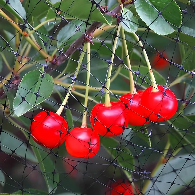 Bird Netting 13x40 FT – 3/4" Mesh Garden Netting for Plant Protection, Deer Fence Netting Against Birds, Squirrels, Rabbits, Raccoons & More – Protect Fruit Trees, Vegetables & Flowers