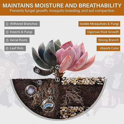 NUPICK 3lb River Rocks for Plants Indoor, 3/8 Inch Mixed Pebbles for Vase Fillers, Decorative Pea Gravel for Fish Tank, Natural Polished Stones for Succulent, Bonsai, Landscaping, Bird Baths