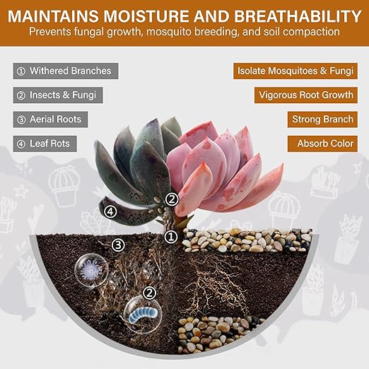 NUPICK 3lb River Rocks for Plants Indoor, 3/8 Inch Mixed Pebbles for Vase Fillers, Decorative Pea Gravel for Fish Tank, Natural Polished Stones for Succulent, Bonsai, Landscaping, Bird Baths