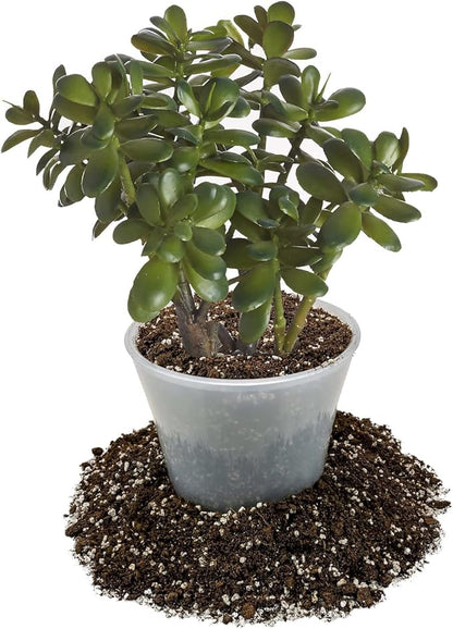 GARDENERA Premium Jade Plant Potting Soil Mix - (5 Quart Bag)