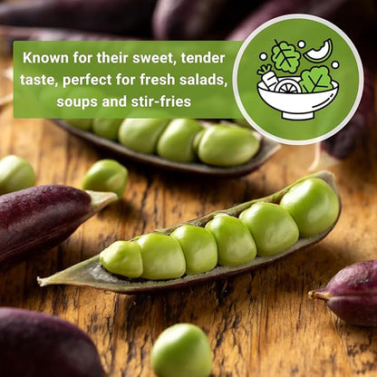 Sow Right Seeds - Desiree Snow Pea Seeds for Planting - Non-GMO Heirloom Packet with Instructions to Plant an Outdoor Home Vegetable Garden - Dwarf Bushes with Purple Pods - Large, Frost Resistant (1)