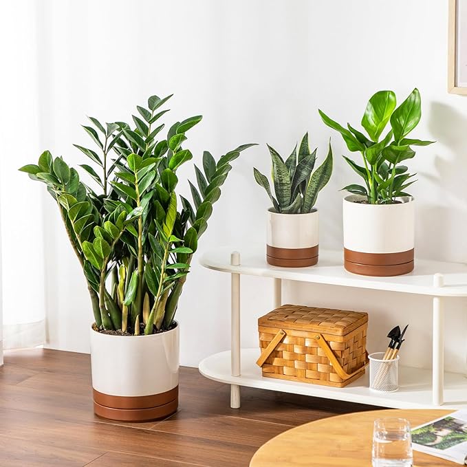 vancasso Ceramic Pots for Plants, Plant Pots for Indoor Plants, 6.25+8.25+10.25 Inch Ceramic Planters, Flower Pots with Drainage Holes, Planters Pot for Indoor House Plant, Set of 3, Khaki