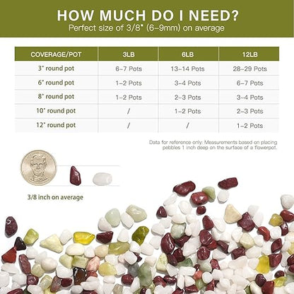 NUPICK 6 lbs Pebbles for Indoor Plants, 3/8 Inch Pea Gravel for Fish Tank, Polished Decorative Rocks for Succulent, Natural River Stones for Vases, Cactus, Landscaping, Bird Bath, Colorful Mixed