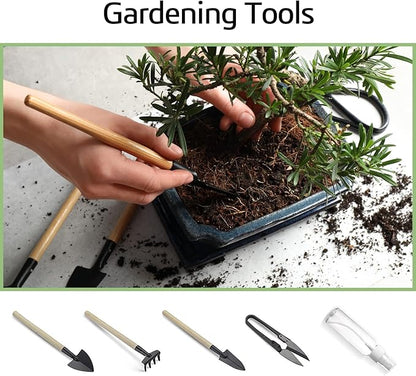 Meekear Bonsai Tree Kit with Complete Growing Starter Kit, Great Potted Growing DIY Gift for Adults