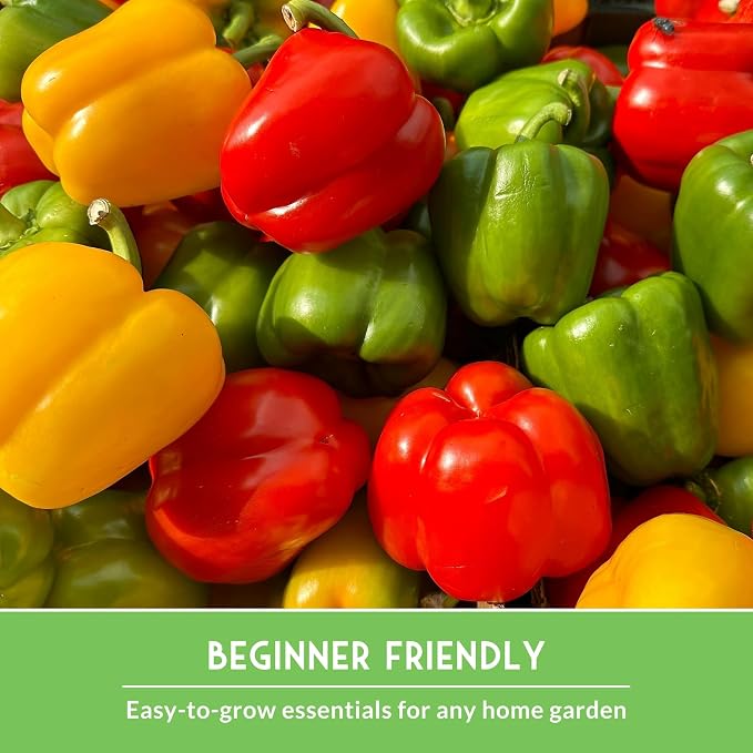 Summer Vegetable Garden Seeds - 10 Heirloom Non-GMO Variety Pack for Planting - Warm Weather Gardening Collection for Fresh Vegetables - Survival Garden Seeds