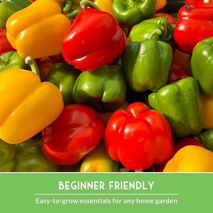 Summer Vegetable Garden Seeds - 10 Heirloom Non-GMO Variety Pack for Planting - Warm Weather Gardening Collection for Fresh Vegetables - Survival Garden Seeds