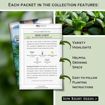 Sow Right Seeds - Asian Greens Seed Collection for Planting - Includes Thai Basil, Bok Choy, Chinese Celery, Green Shiso & Tat SOI - Non-GMO Heirloom Varieties to Plant and Grow Indoors or Outdoors