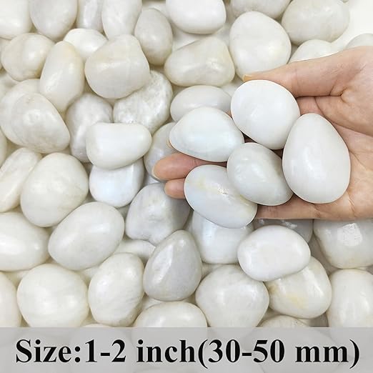 FANTIAN 20 lbs White River Rocks, 1-2 Inch Polished Pebbles for Indoor Plants, Decorative White Stones for Plants, Vase, Aquarium, Fish Tank, Landscaping and Garden