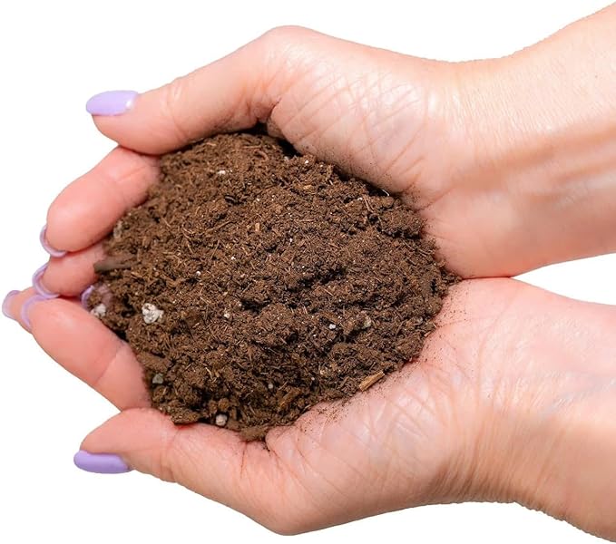 GARDENERA Citrus Tree Potting Soil Mix - 10 Quart - Special Blend for Indoor Oranges, Lemons, Limes and More - (2 Bags of 5 Quart)