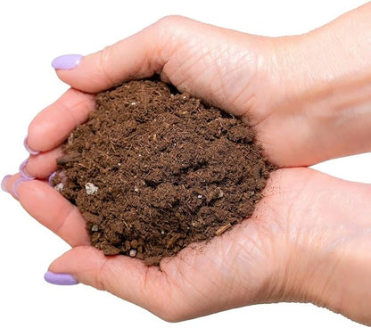 GARDENERA Premium Dracaena Potting Soil Mix - (3 Quart Bag)