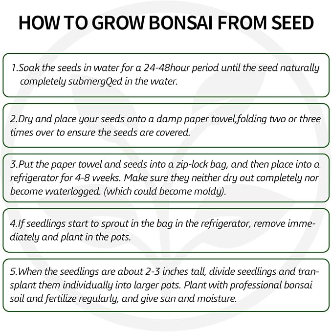 Bonsai Tree Kit with Complete Growing Tools, Grow in Pot Indoor Bonsai Tree Starter Kit, Great Home Gardening DIY Gift for Adult