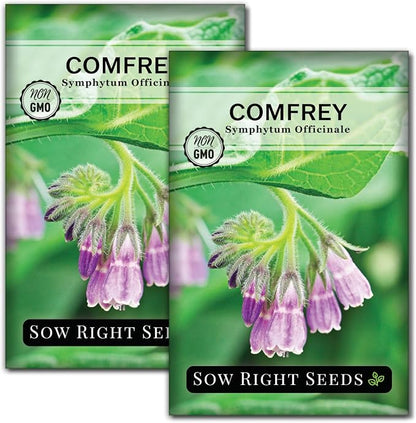 Sow Right Seeds - Comfrey Seeds for Planting - Non-GMO Heirloom - High-Yield Comfrey for Garden, Medicinal Herbs, and Soil Improvement - Outdoor or Indoor Herb Garden - Use for Home Remedies (2)