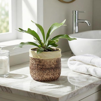 6 Inch Plant Pot - Ceramic Pots for Plants with Drainage Hole and Plug, Unique Plant Pots for Indoor Outdoor Plants, Round Planter, Room Home Decor, Gifts for Plant Lovers, Brown