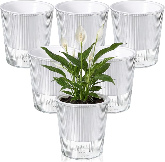 6 Pack Self Watering Pots for Indoor Plants Plastic Vertical Ribbed Semi Transparent Planters, Dual Layer Reservoir for Indoor Succulents Herbs Pothos(Clear, White,4.4 x 4.9 Inch)