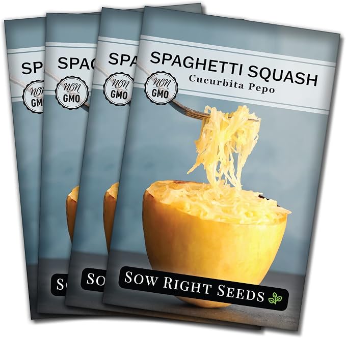 Sow Right Seeds - Spaghetti Squash Seeds for Planting - Non-GMO Heirloom Packet with Instructions to Plant and Grow an Outdoor Home Vegetable Garden - Roast and Enjoy Eating This Favorite Variety (4)